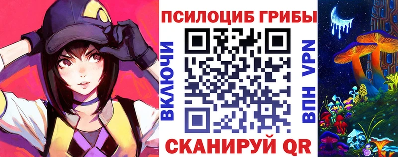 Галлюциногенные грибы Psilocybe  кракен ONION  Первомайск 